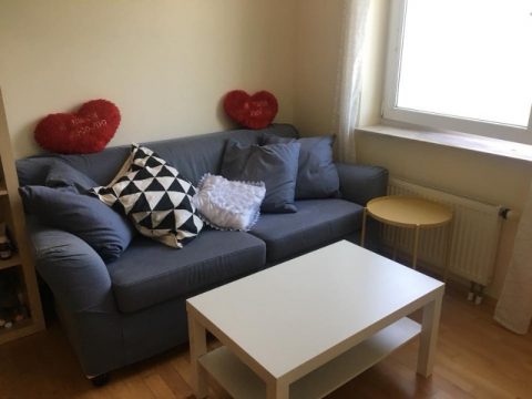 Однокімнатна квартира у столиці