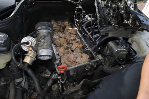 Бурштиновий автомобіль: каміння в паливному баку, карбюраторі та двигуні