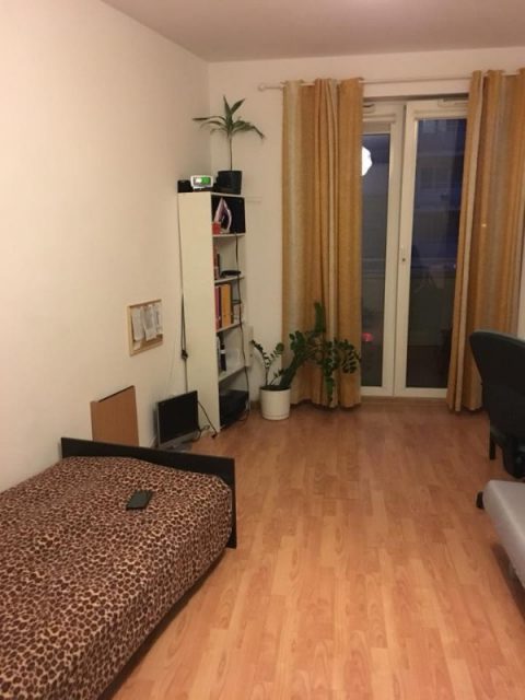 Помешкання для дівчини в столиці