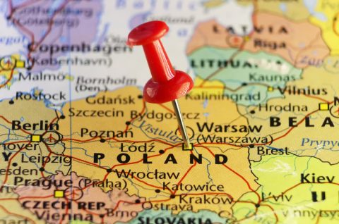 Українці в Польщі: де живуть і працюють, якому банку та мобільному оператору надають перевагу — дані нового дослідження