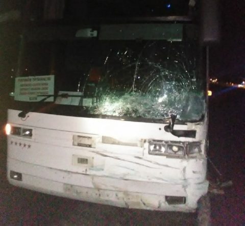 Одна особа загинула в нічній аварії за участі міжнародного автобуса по дорозі між Шегині та Львовом