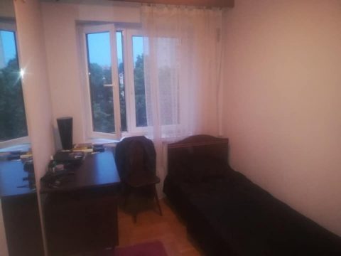 Атракційна ціна і від зараз!