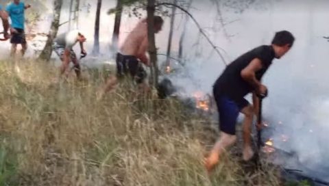 Зупинили вогонь лопатами та гіллям. Українці допомогли врятувати польське село від пожежі (Відео)