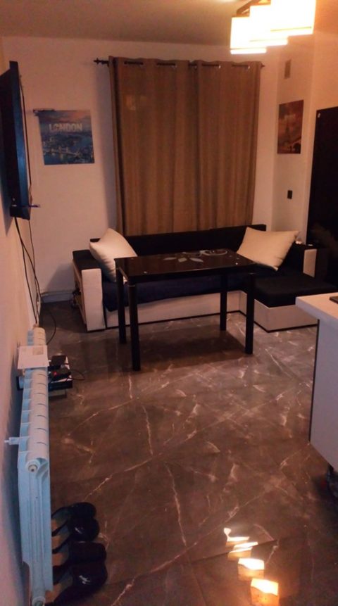 Сдается 1 к. квартира с кошкой Бести)