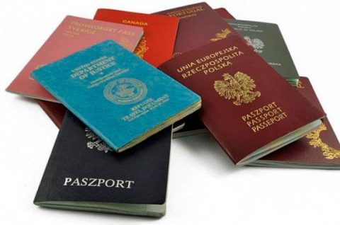 Влада готує законопроєкт про подвійне громадянство