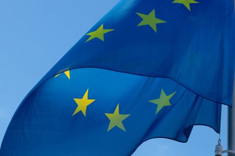 Українці – лідери за кількістю отриманих дозволів на проживання в ЄС. Найбільше їх видала Польща