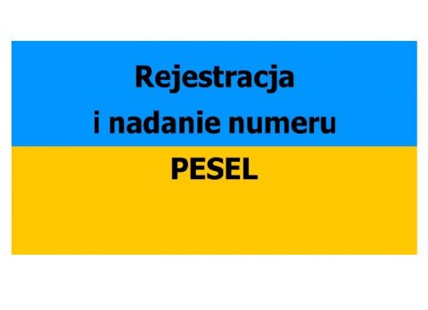 У Польщі запрацював сервіс, де українці можуть заповнити анкету для отримання номеру Pesel