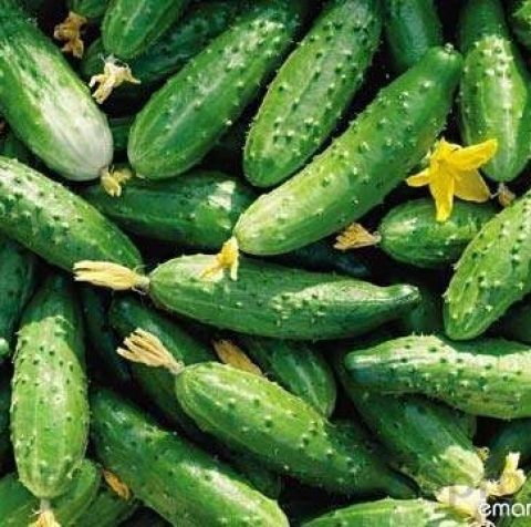 Збір огурків / помідорів