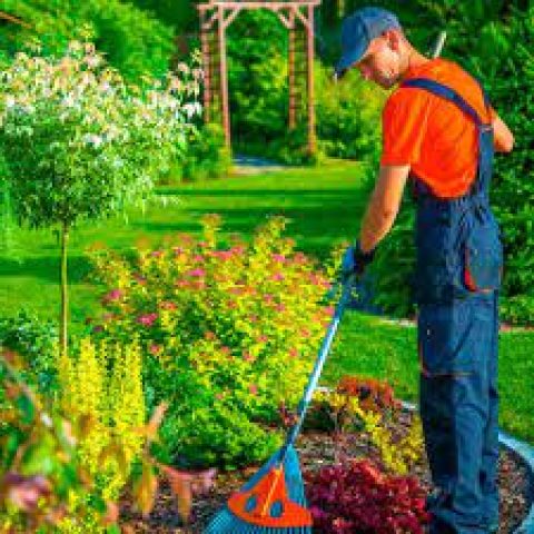 Двірник – садівник