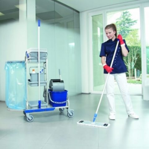 ПРИБИРАЛЬНИК