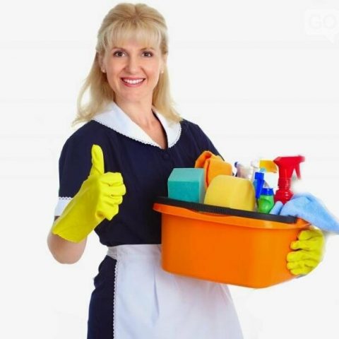 ПРИБИРАЛЬНИЦЯ