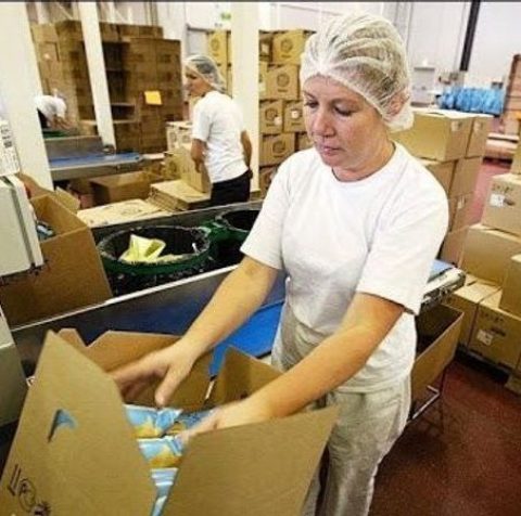 ПАКУВАЛЬНИЦЯ