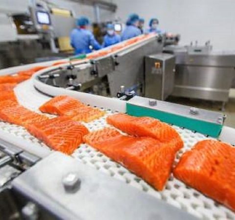Работа з рибною продукцією