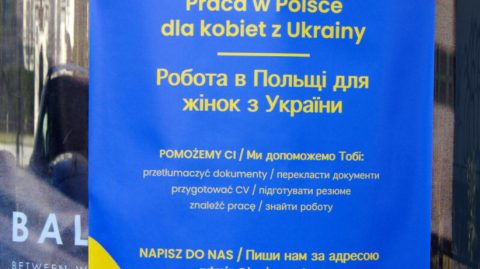 Хто працевлаштовує громадян України в Польщі? Дослідження
