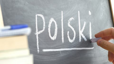 Хто може отримати мовний сертифікат без іспиту в Польщі?