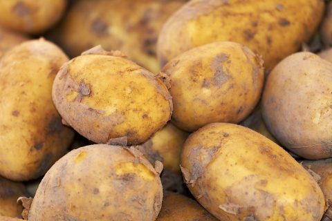 Lidl терміново знімає з продажу картоплю у восьми воєводствах