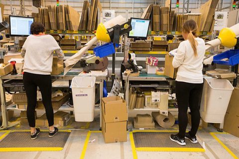 Біженці з України заповнили прогалини на польському ринку праці. Дослідження