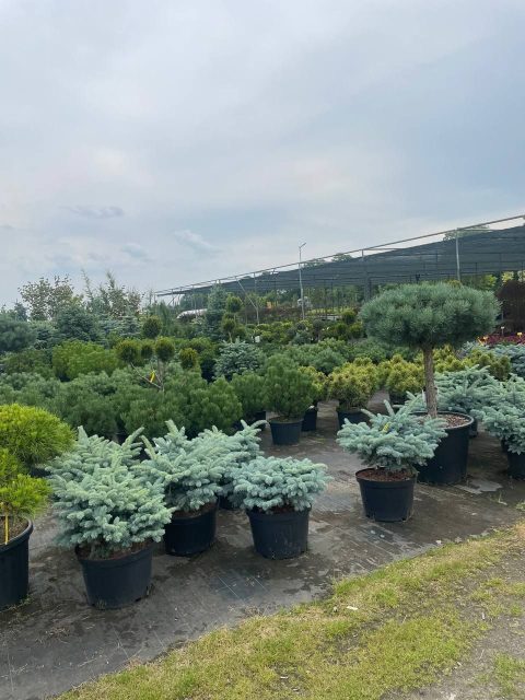 Робота в Польщі!