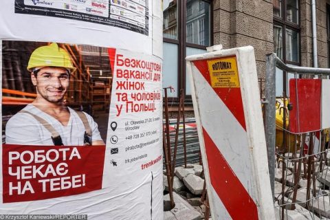 Нові тренди працевлаштування українців у Польщі. Сезонні роботи стають менш популярними