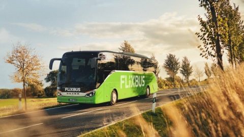 Популярний перевізник FlixBus замінить свій автопарк на “Еко” автобуси