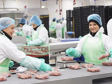 Робота на курячому заводі