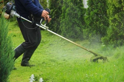 Робота для чоловік в Вроцлаві в одну денну зміну